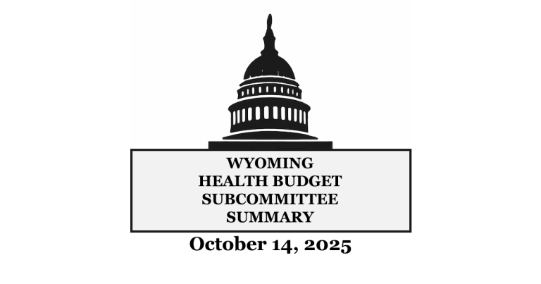 Wyoming Lawmakers Review Past Health Department Budget Cuts and Future Impacts